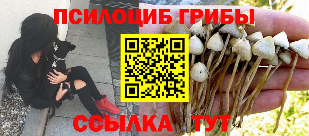 Псилоцибиновые грибы мухоморы  Вход с VPN  Псилоцибиновые грибы Magic Shrooms  цены наркотик  Нефтекамск 